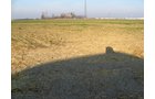 Property photo 22 - 60 Acres Offered in 2 Tracts